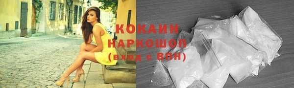 индика Бронницы
