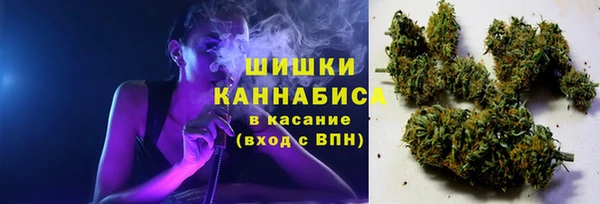 наркотики Бородино