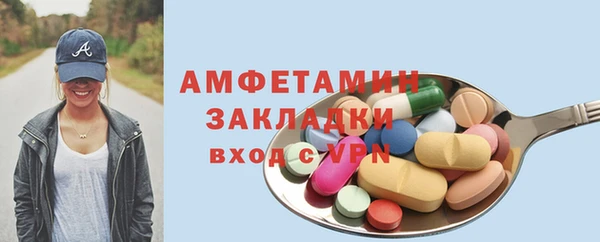 индика Бронницы