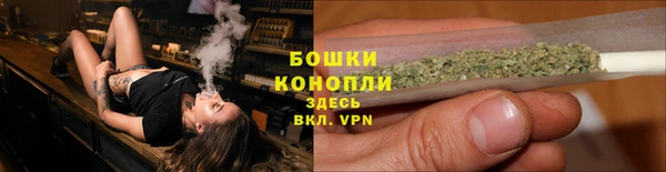 наркотики Бородино