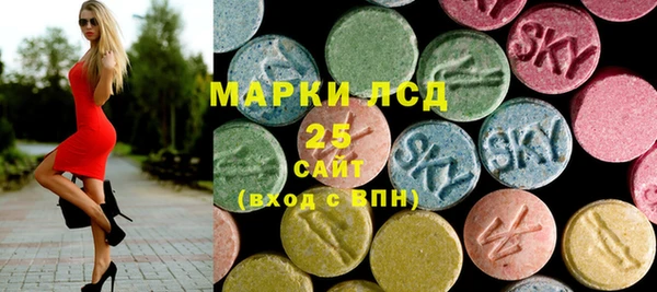 индика Бронницы