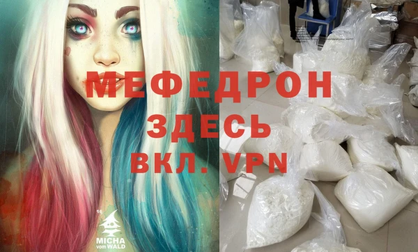 индика Бронницы