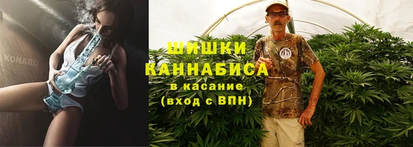 индика Бронницы