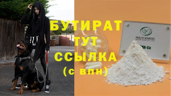 индика Бронницы